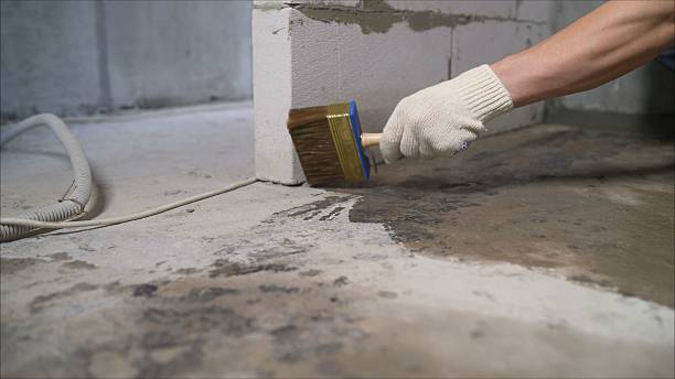 SJ Waterproofing Pros Waterproofing coverage map for Whitehall, MI and surrounding area